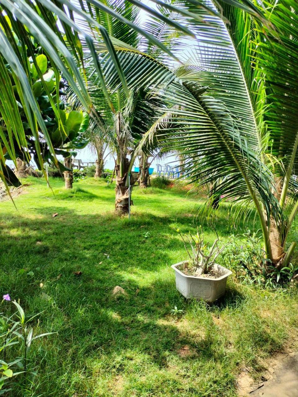 Bien Ngoc Homstay بهان ثيت المظهر الخارجي الصورة