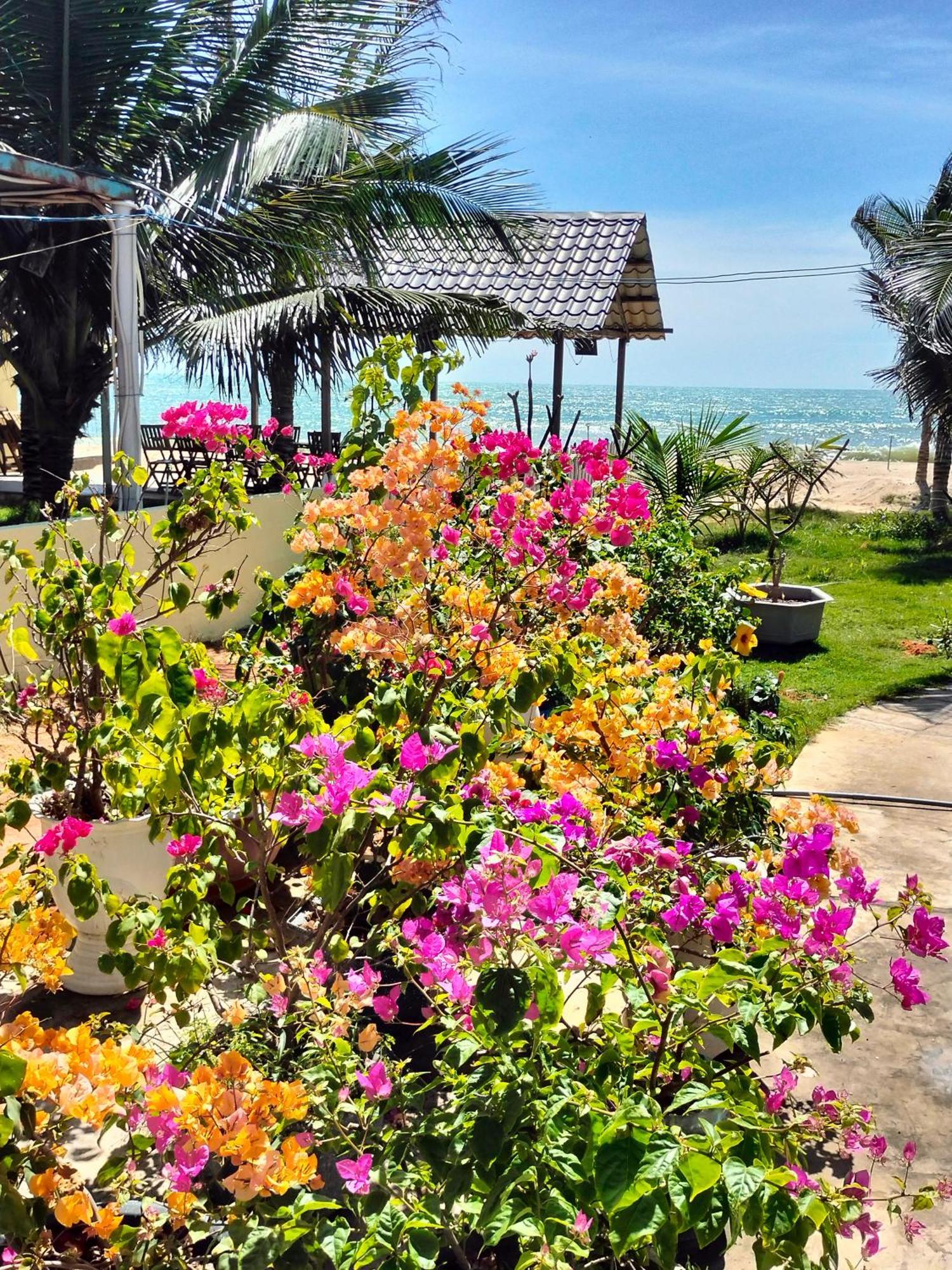 Bien Ngoc Homstay بهان ثيت المظهر الخارجي الصورة